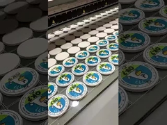 OEM / ODM چاپگر UV فرمت بزرگ برای کیف تلفن LED جوهر UV محیط زیست