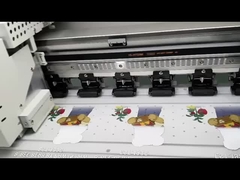 چاپ چاپگر تی شرت DTF با حالت سرعت 4sqm / h و نرم افزار انتخابی PhotoPrint Rip